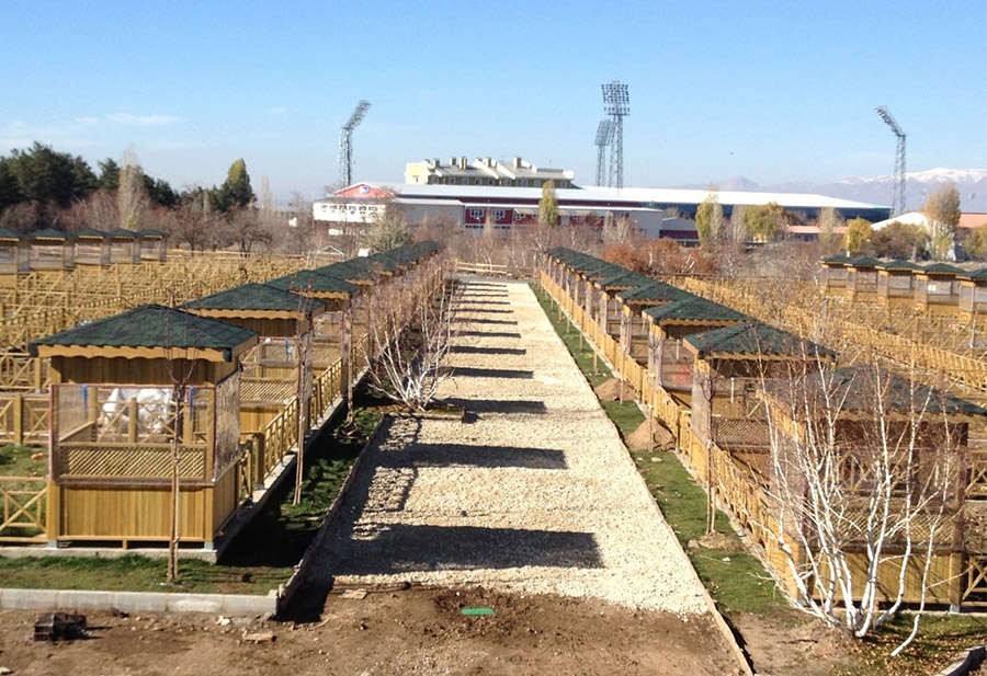 PEYZAJ VE ÇEVRE DÜZENLEME 1